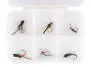 Flies selection hotfly BRASS BEAD NYMPHS ESSENTIAL LTD - 6 barbless flies with box