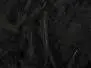 CDC Feathers Cul de Canard SELECTED SMALL & DENSE hotfly - 1 g - black