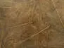 CDC Feathers Cul de Canard EVO SELECTED hotfly - 1 g - brown