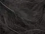 CDC Feathers Cul de Canard EVO SELECTED hotfly - 1 g - black