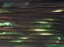 MAGIC TINSEL CP textreme - 0,8 mm + 1,6 mm - 150 cm + 150...