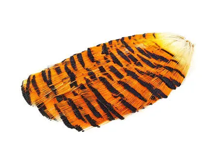 GOLDEN PHEASANT PREMIUM COLLAR hotfly