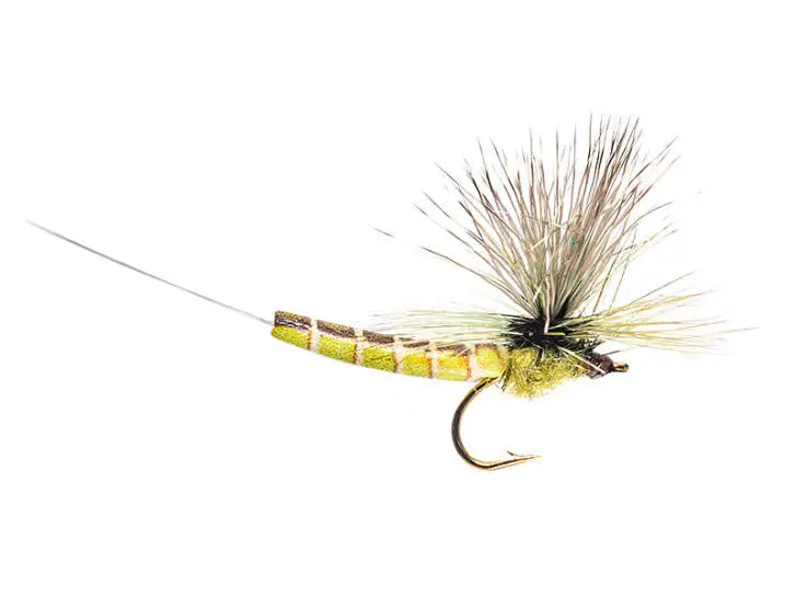 Elk Wing Green Drake Eastern 10
