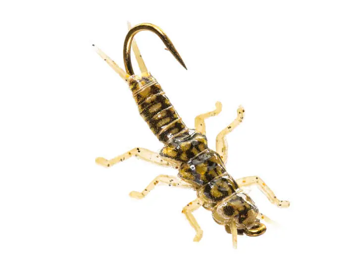 Stonefly Jig Olive 12