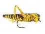 X-True Hopper Yellow Black