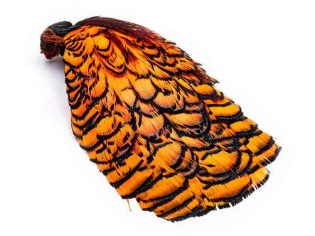 LADY AMHERST PHEASANT hotfly