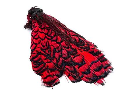 LADY AMHERST PHEASANT hotfly