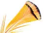 LADY AMHERST PHEASANT hotfly