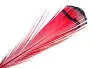 LADY AMHERST PHEASANT hotfly