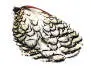 LADY AMHERST PHEASANT hotfly