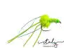 Morgans Pumping BH Eggstasty Devil Chartreuse BL 10
