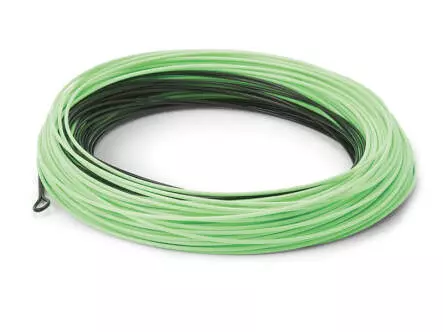Fly line cortland 444 SINK TIP TYPE 6 - WF F/S flottante...