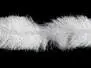 CCS GAME CHANGER CHENILLE hotfly - 100 cm