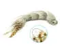 Articulated XXL Pike & Taimen Streamer 25 cm Grey