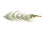 Articulated XXL Pike & Taimen Streamer 25 cm Grey
