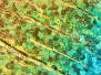 WIGGLE TAILS hotfly - 4 pc. - xl - rainbow holo