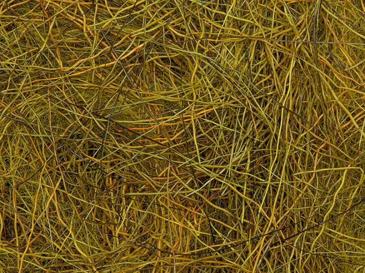 CHAMOIS HAIR DUBBING made in italy hotfly - 1 g