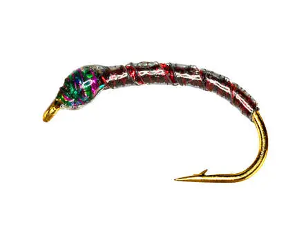 Coregonus line SEGMENT RED BLACK