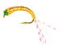 Alosa agone line FLASHABOU YELLOW  12