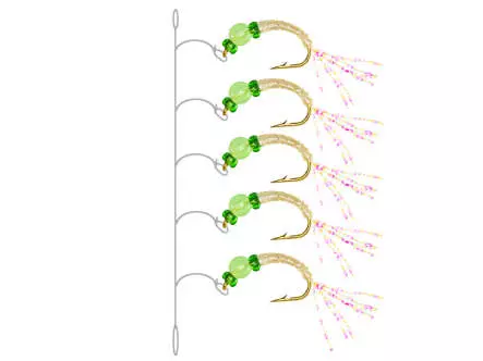 Alosa agone line EVERGLOW GREEN