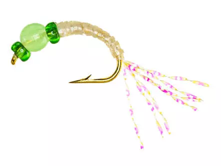 Alosa agone line EVERGLOW GREEN