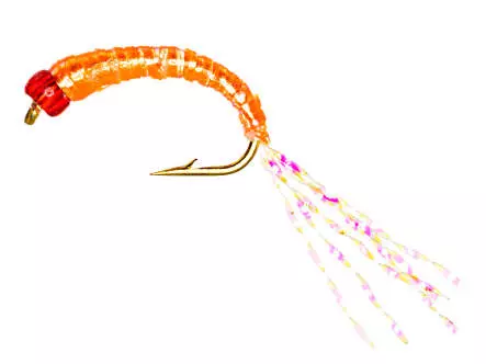 Alosa agone line FLASHABOU SALMON ORANGE