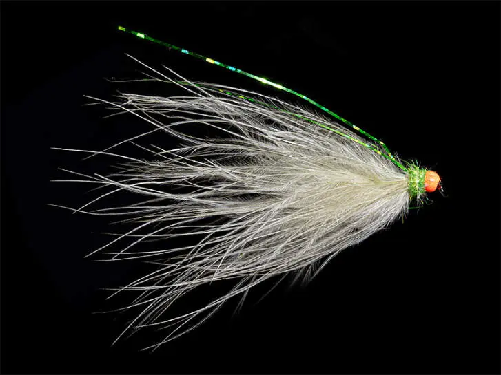 Morgans Bracc BH Peacock Pearl BL