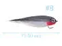 Weighted HP Minnow Streamer BWR BL 12
