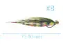 Jig HP Minnow Streamer Perch BL 10