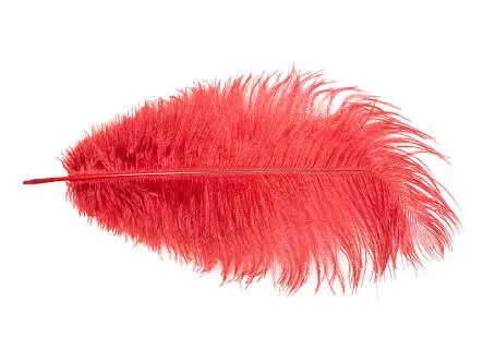 OSTRICH HERL V2 hotfly - 1 pc. - 25/30 cm