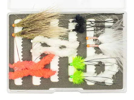 Flies selection hotfly LAKE ESSENTIAL V1 - 12 barbless flies with box