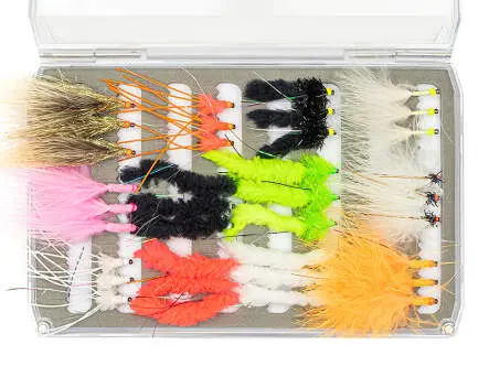 Flies selection hotfly LAKE EVOLUTION V1 - 36 barbless flies with box