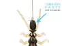 Stonefly Nymph - yellow - 45 mm