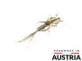 Mayfly Nymph - freewater - tan - 30 mm