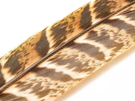 FEMALE PHEASANT TAIL FEATHER - 3 pc. - 15/25 cm