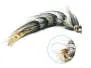 Articulated XXL Pike & Taimen Streamer 25 cm Black