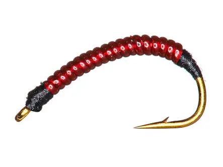 Coregonus line RIB EVO 12