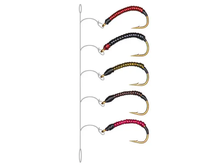 Coregonus line RIB EVO 14
