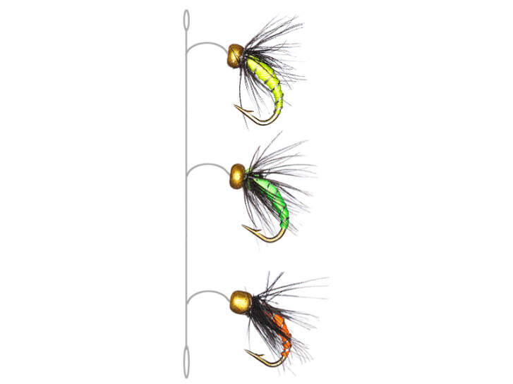 Ripensando la vita: Pesca alla trota in America Ripensando la vita: Pesca alla trota in America