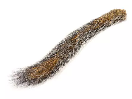 SQUIRREL TAIL NATURAL hotfly
