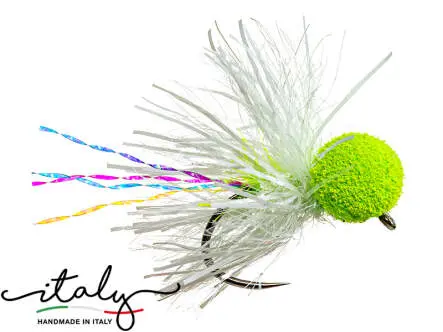 Clown Booby White 12