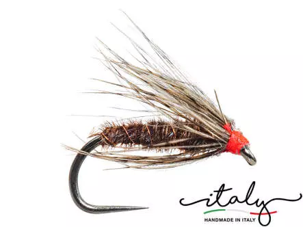 Partridge Pheasant Spider