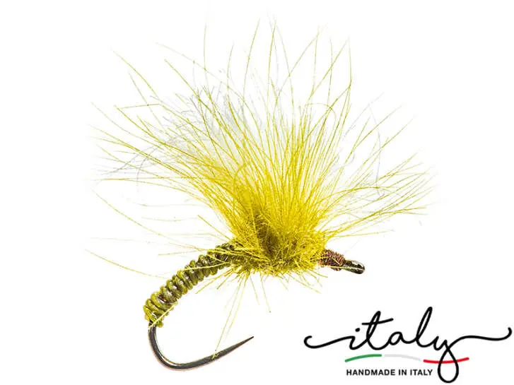 Morgans Fat Olive Beast 10