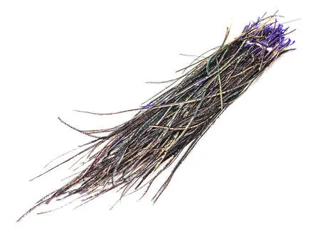 PEACOCK HERL hotfly - 1 g - ca. 15 cm