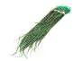 PEACOCK HERL hotfly - 1 g - ca. 15 cm