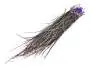 PEACOCK HERL hotfly - 1 g - ca. 15 cm