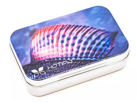 Fly box hotfly ALU ECO GRAYLING nymph x-small