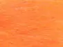 PREDATOR DUBBING hotfly - 2 g - hot orange