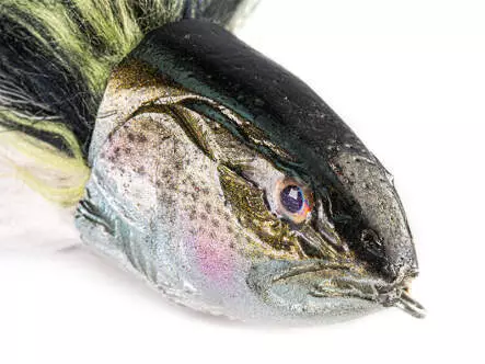 Athena Rainbow Trout Rubber lurevo - 24 cm - 84 g