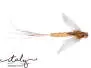 Spent Mayfly Spinfly - 0,55 g - 3 cm - hook size 8